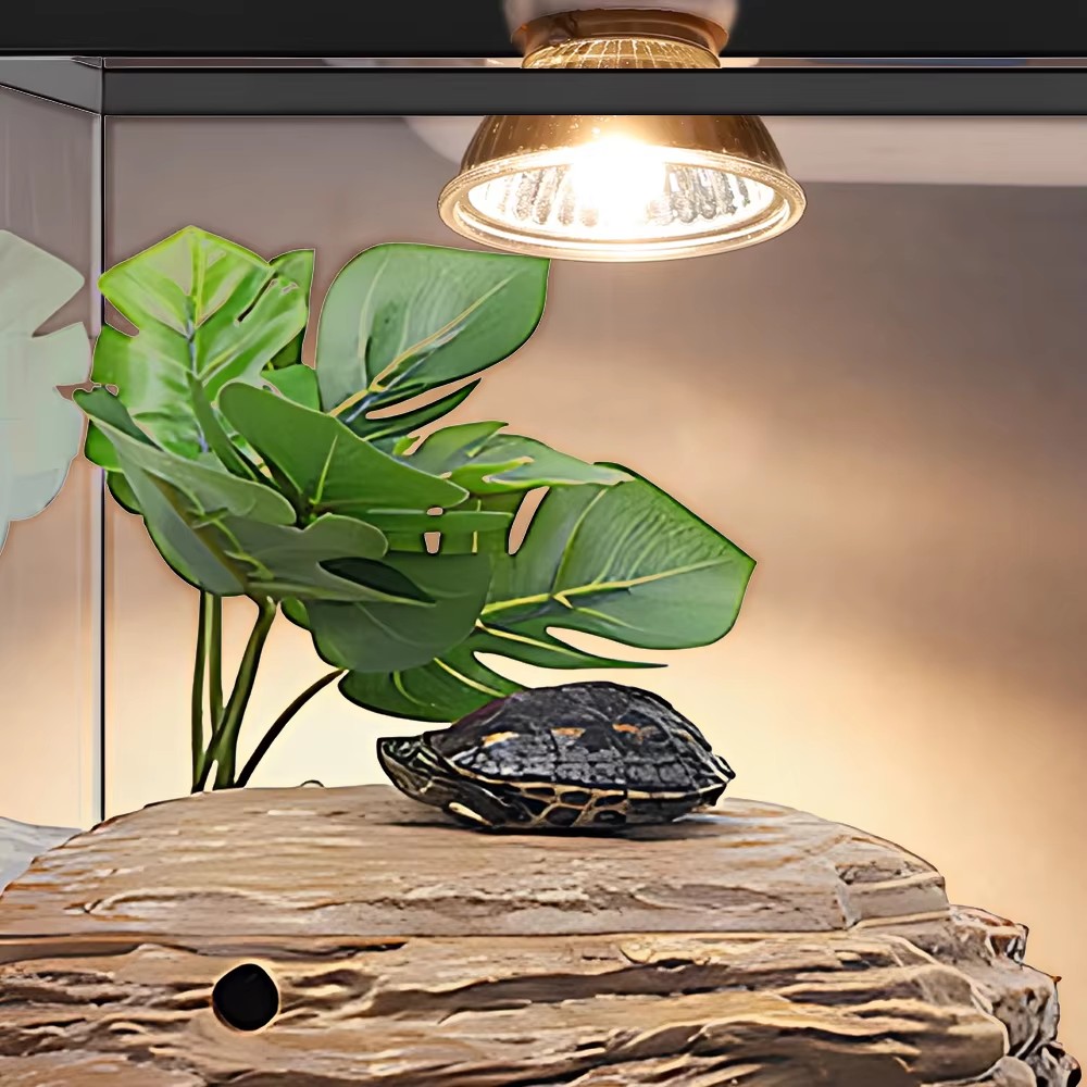 Lampu Pemanas Spektrum Penuh U - Calcium Powder Reptile ulasan dan harga
