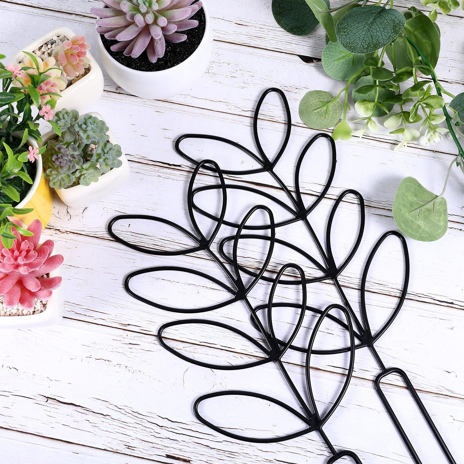 1 Buah Teralis Tanaman Desain  - Vine Climbing Plastic ulasan dan harga