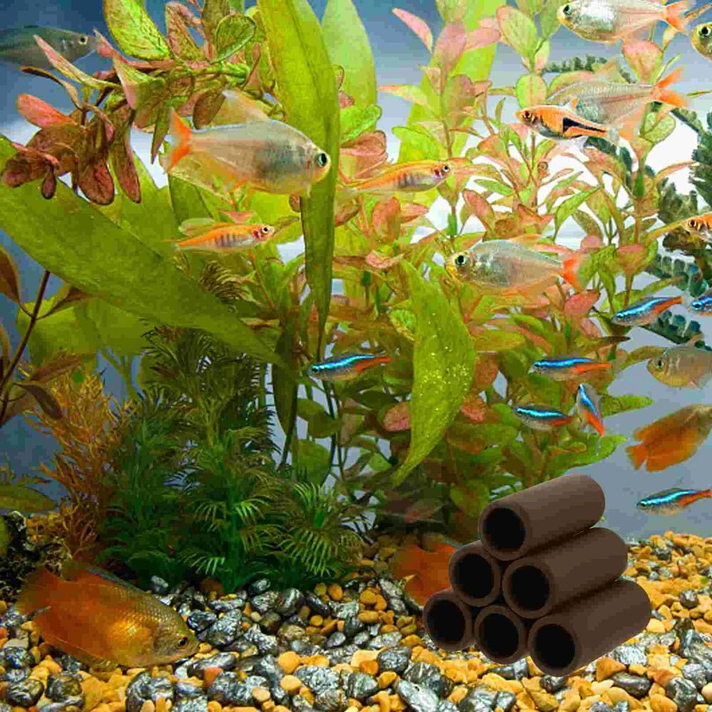 Rumah Keramik untuk Ikan Akuar - Hide Cave Ceramic ulasan dan harga
