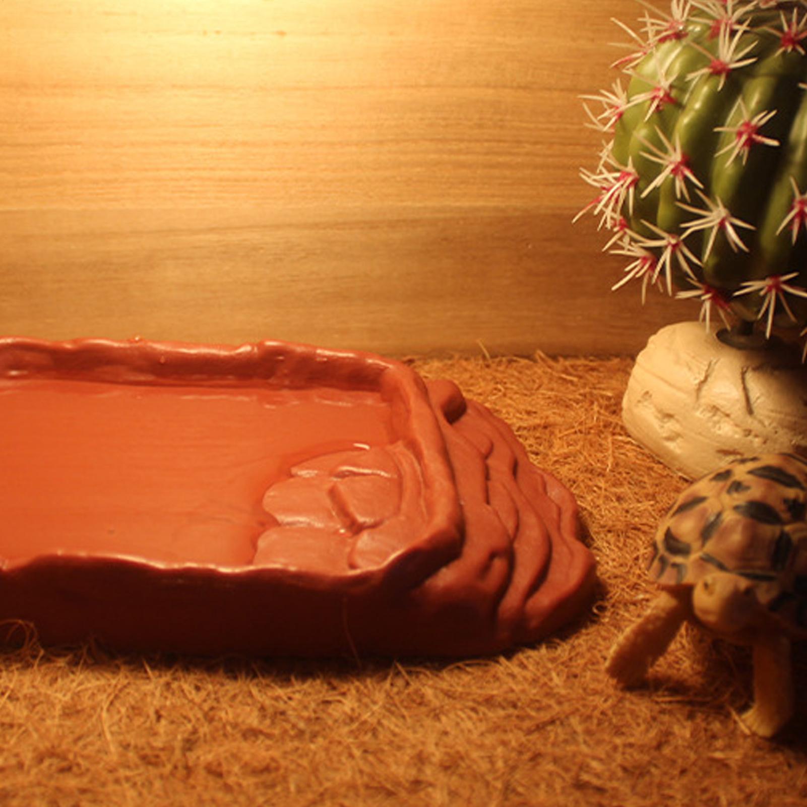Tempat Mandi Kura-Kura, Wadah  - Water Dish Reptile ulasan dan harga