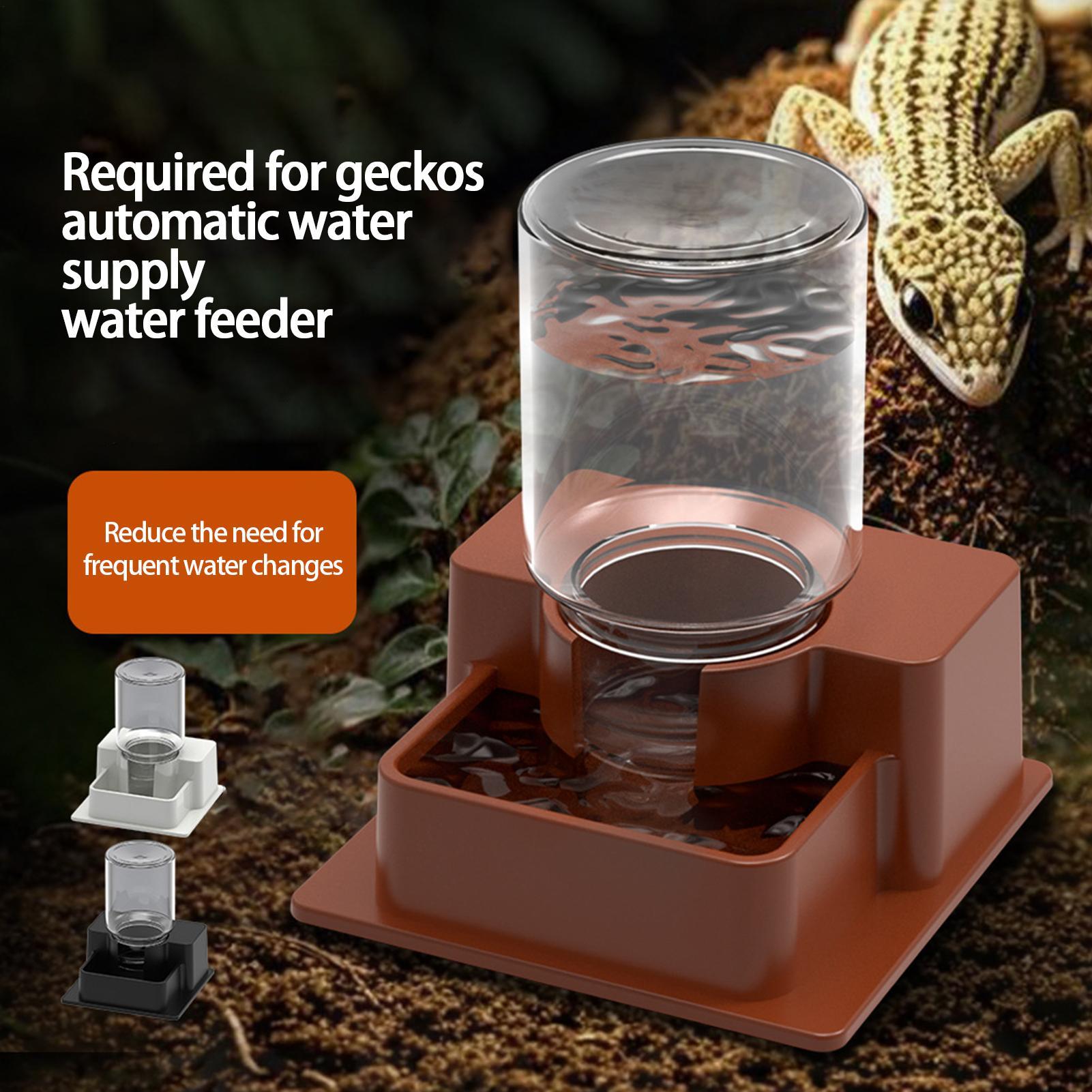 1 Buah Pengumpan Reptil Otomat - Water Dish Reptile ulasan dan harga