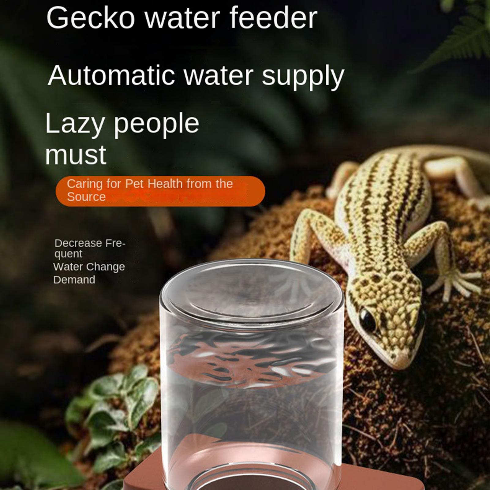 1 Buah Pengumpan Reptil Otomat - Water Dish Reptile ulasan dan harga